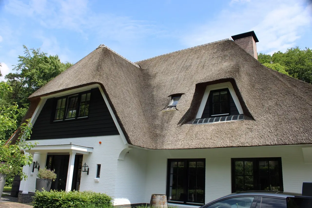 De Wit.Schilder De Wit.Schilder